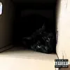 CHILLCAT THE BASTET - Black Out